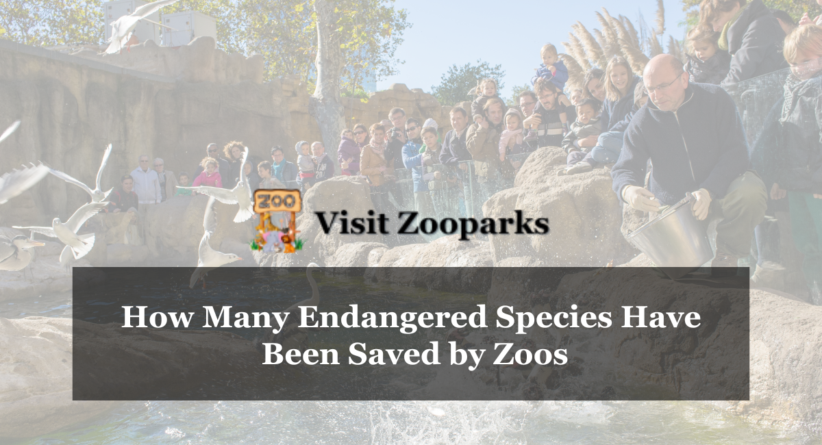 How Many Endangered Species Have Been Saved by Zoos