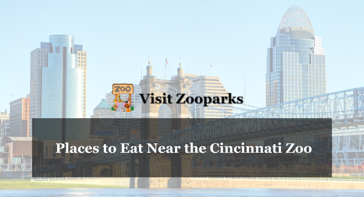 Places to Eat Near the Cincinnati Zoo