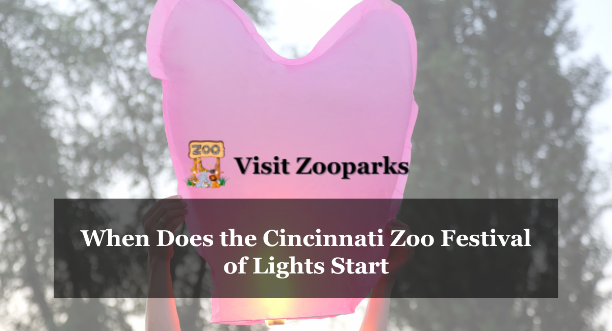 When Does the Cincinnati Zoo Festival of Lights Start